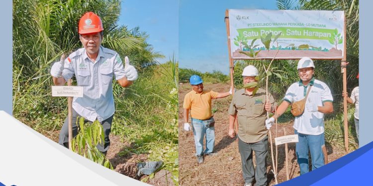 PT SWP Tanam Empat Jenis Pohon Kayu di Lahan Hutan Konservasi Pelalawan