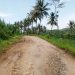 Warga Tumpakrejo Protes: Jalan Kabupaten “Bak Kubangan Gajah” Saat Hujan , Warga Ngeluruk Kades