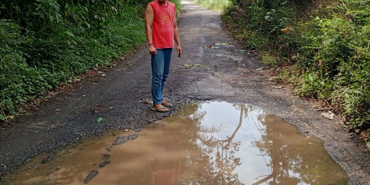 Warga Karangsuko Keluhkan Kondisi Jalan Kabupaten Yang Rusak Parah Dan Berlubang
