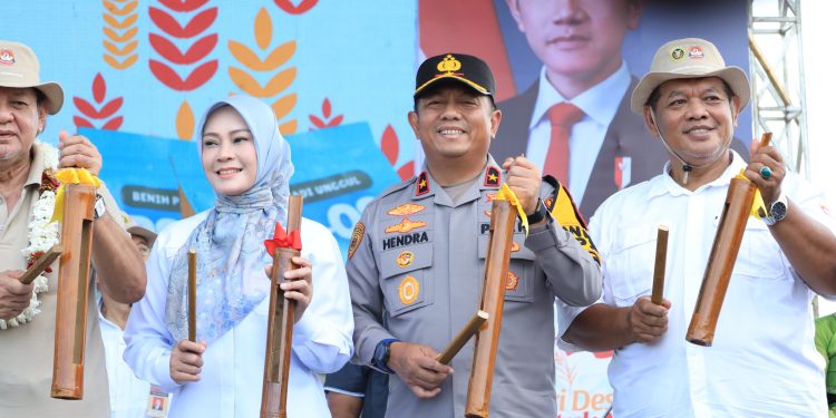 Wakapolda Banten Hadiri Panen Raya Padi Organik PS-08, Perkuat Ketahanan Pangan dan Semangat Bela Negara