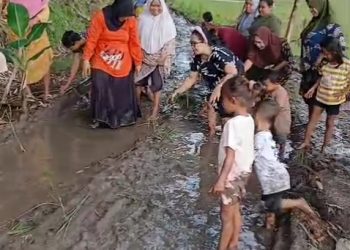 VIRAL! Jalan Poros Desa Intan Jaya Jadi “Sawah Dadakan”, Ibu-Ibu dan Anak-Anak Tanam Pisang di Tengah Lumpur