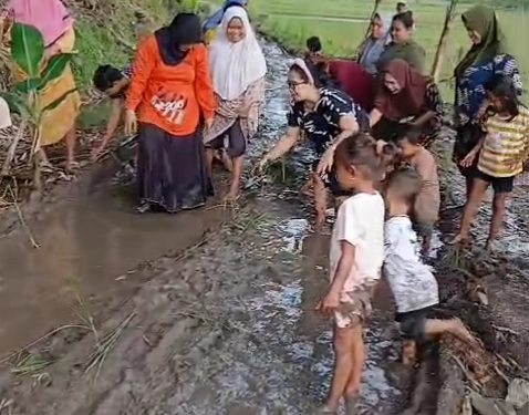 VIRAL! Jalan Poros Desa Intan Jaya Jadi “Sawah Dadakan”, Ibu-Ibu dan Anak-Anak Tanam Pisang di Tengah Lumpur