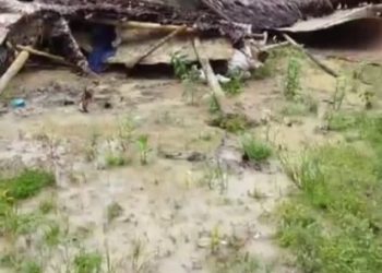 Ironis! Rumah Janda dengan Keterbatasan Mental di Lebak Ambruk Total, Warga Soroti Minimnya Perhatian Pemerintah