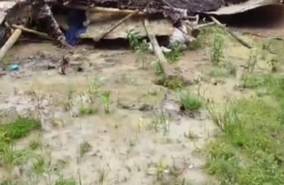Ironis! Rumah Janda dengan Keterbatasan Mental di Lebak Ambruk Total, Warga Soroti Minimnya Perhatian Pemerintah