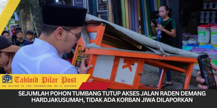 Pemkot Cimahi Bergerak Cepat Tangani Dampak Angin Puting Beliung di Sejumlah Wilayah