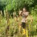 Kapolsek Cimarga Polres Lebak Cek Persiapan Panen Jagung Desa Margaluyu
