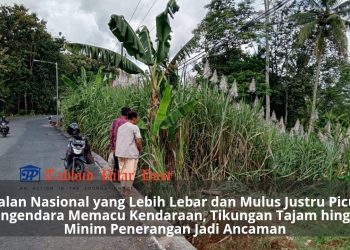 Waspada! Jalur Perbatasan Desa Rejosari–Bantur Rawan Kecelakaan, Ini Penyebabnya