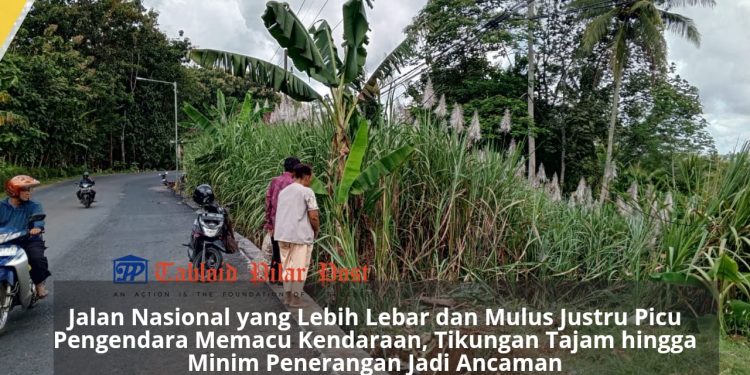Waspada! Jalur Perbatasan Desa Rejosari–Bantur Rawan Kecelakaan, Ini Penyebabnya