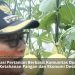 Kapolsek Bantur dan Jajaran Intensifkan Patroli di Kawasan Proyek Strategis Nasional