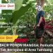 MISTERI DI BALIK POHON MANGGA: Pemuda Asal Bogor Ditemukan Tak Bernyawa di Area Tambang Pasir Lebak