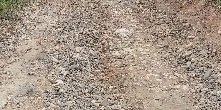 Jalan Penghubung Bojongmanik–Parakan Besi Rusak Parah, Warga Desak Pemerintah Segera Lakukan Perbaikan