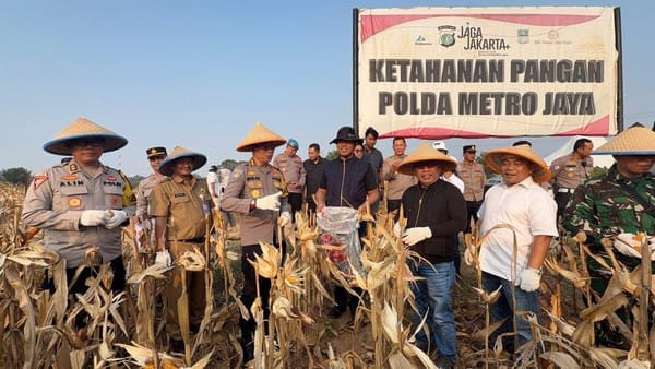 Panen Raya Jagung 4 Hektare di Cikarang Pusat, Polda Metro Jaya Perkuat Program Ketahanan Pangan Nasional