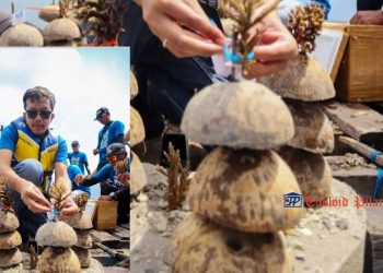 Wabup Trenggalek Resmikan MUF ON 2026 dan Luncurkan Mutiara Dive Center, Konservasi Terumbu Karang Kini Gerakkan Ekonomi Warga