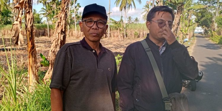 Lahan Tebu 2 Hektare di Bantur Dilalap Api, Petani Malang Selatan Resah