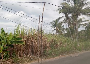 Terdampak Pelebaran Jalan Balekambang, DPKPCK Malang Survei Perbaikan SDN 1 Srigonco