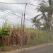 Terdampak Pelebaran Jalan Balekambang, DPKPCK Malang Survei Perbaikan SDN 1 Srigonco