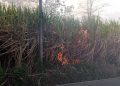 Terdampak Pelebaran Jalan Balekambang, DPKPCK Malang Survei Perbaikan SDN 1 Srigonco