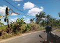 Kabel Listrik Melintang Disangga Kayu, PLN ULP Gondanglegi Gerak Cepat Tindaklanjuti Keluhan Warga Durmo
