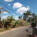 Kabel Listrik Melintang Disangga Kayu, PLN ULP Gondanglegi Gerak Cepat Tindaklanjuti Keluhan Warga Durmo