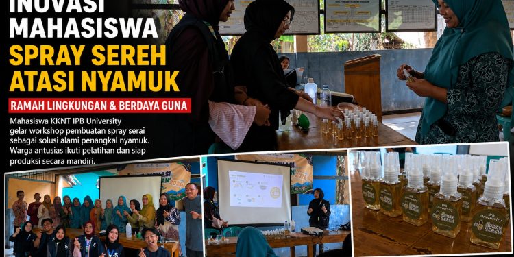 Mahasiswa KKNT IPB University Sulap Serai Wangi Jadi Spray Anti Nyamuk, Dorong UMKM dan Kemandirian Ekonomi Desa Sukatani