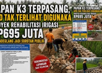 Pekerja Tanpa APD di Proyek Irigasi Rp695 Juta, Dugaan Pemborongan Berlapis Muncul