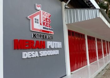 KDKMP Sidodadi Hampir Rampung, Disiapkan Jadi Motor Penggerak Ekonomi Desa