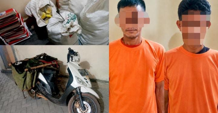 Dua Terduga Pelaku Pencurian Jambu Kristal di PT GGP Diamankan Polisi