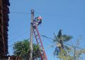 Respons Cepat Aduan Warga, PLN ULP Gondanglegi Perbaiki Tiang dan Kabel Rusak di Sumberrejo