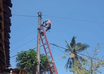 Respons Cepat Aduan Warga, PLN ULP Gondanglegi Perbaiki Tiang dan Kabel Rusak di Sumberrejo