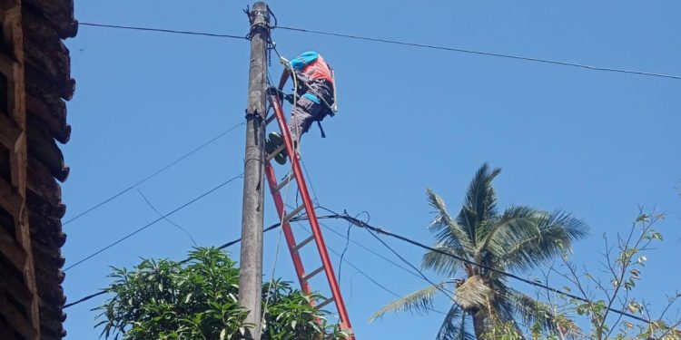 Respons Cepat Aduan Warga, PLN ULP Gondanglegi Perbaiki Tiang dan Kabel Rusak di Sumberrejo