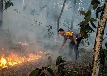 Respons Cepat Bhabinkamtibmas Terbanggi Besar, Kebakaran Lahan Setengah Hektare Berhasil Dipadamkan