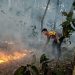 Respons Cepat Bhabinkamtibmas Terbanggi Besar, Kebakaran Lahan Setengah Hektare Berhasil Dipadamkan