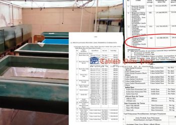 Perda Kota Cimahi Sudah Mengatur, BBI Cimahi  Diduga Langgar: Budidaya Channa Dipertanyakan