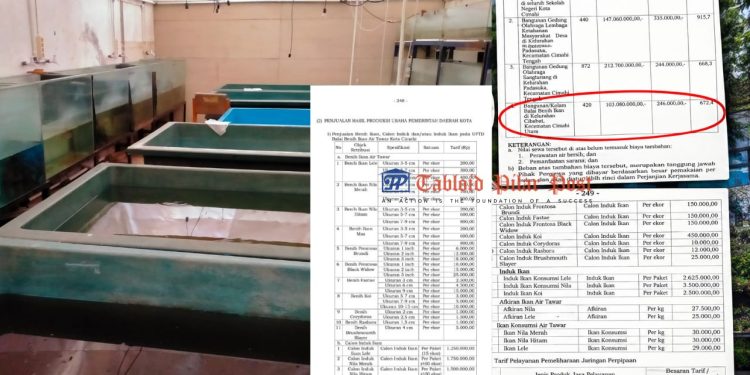 Perda Kota Cimahi Sudah Mengatur, BBI Cimahi  Diduga Langgar: Budidaya Channa Dipertanyakan