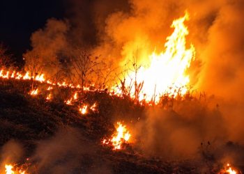 Kebakaran Lahan Kebun di Cihara Lebak, Damkar Malingping Bergerak Cepat Padamkan Api