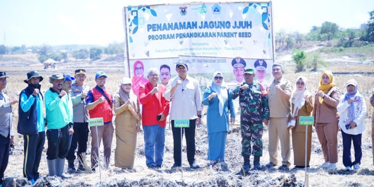 Bupati Bantaeng Tanam Jagung JJUH, Perkuat Program Penangkaran Benih dan Swasembada Jagung