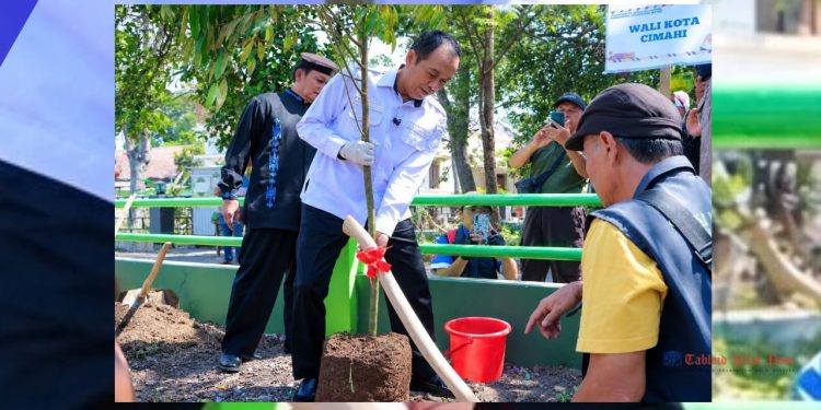 Underpass Gatot Subroto Berdampak pada Pohon, Pemkot Cimahi Tanam 74 Pohon Pengganti