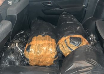 Angkut 32 Ribu Benih Lobster, Pria Asal Sukabumi Diamankan Sat Reskrim Polres Lebak