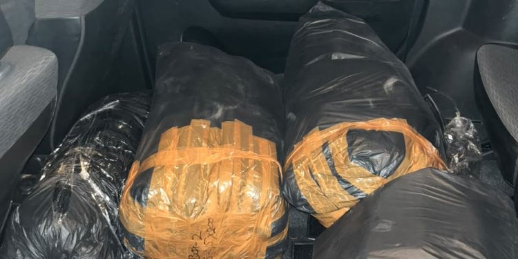 Angkut 32 Ribu Benih Lobster, Pria Asal Sukabumi Diamankan Sat Reskrim Polres Lebak
