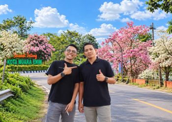 Viral Bunga Sakura di Jalan Sudirman Muara Enim, Warga Panang Jaya Ikut Abadikan Momen