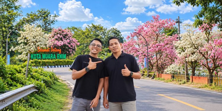 Viral Bunga Sakura di Jalan Sudirman Muara Enim, Warga Panang Jaya Ikut Abadikan Momen
