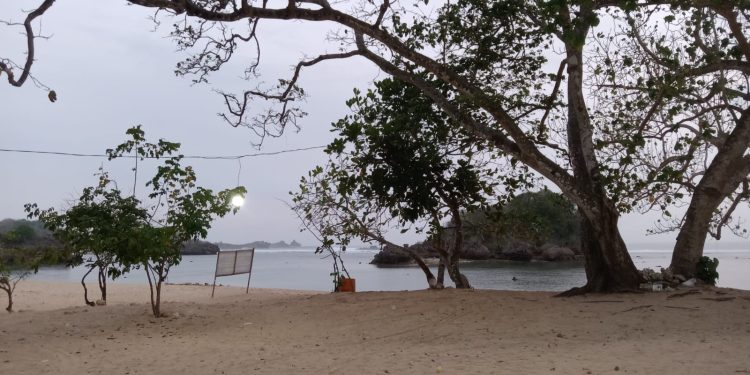 Pantai Ngentup Malang Selatan, Destinasi Favorit Keluarga dan Pecinta Camping