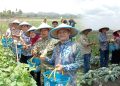Desa Clumprit Malang Luncurkan Program Desa Berdaya, Resmikan Wisata Petik Sayur Fresh Farm
