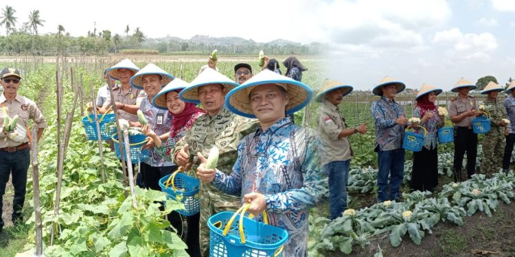 Desa Clumprit Malang Luncurkan Program Desa Berdaya, Resmikan Wisata Petik Sayur Fresh Farm